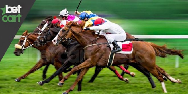 شرط بندی در اسب سواری