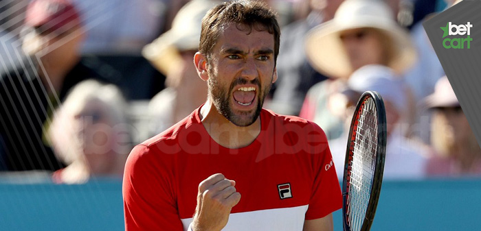 مسابقات تنیس ایندین ولز آمریکا - مارین چیلیچ