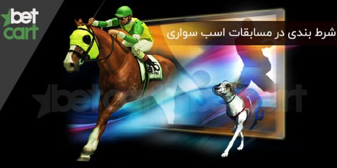 شرط بندی اسب سواری
