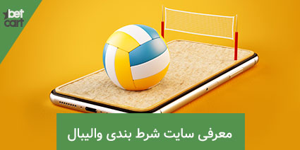 volleyball betting