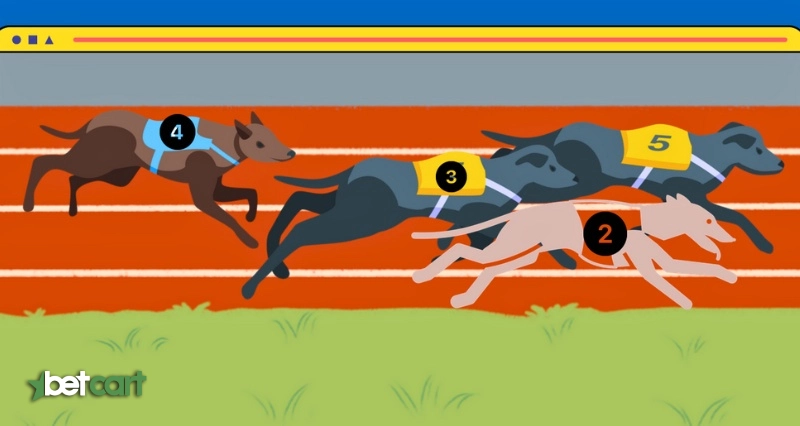 مسابقه سگ‌دوانی مجازی